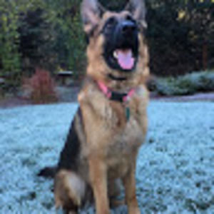 Meet your Posher, Alaina